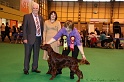 Crufts2011_2 204